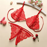 Sexy Lingerie Women Push Up With Lace Straps Transparent Bra Panties Embroidered G-String See Through Comfortable Lingerie Sets Bras