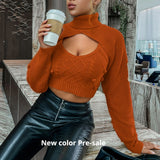 Estorenew Hairball 2 piece set women autumn winter turtleneck crop sweaters vest knit top Sexy backless knitted chic new jumper